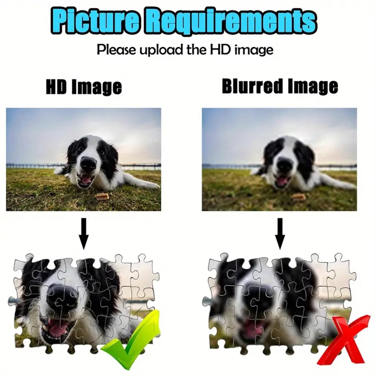 35/300/500/1000pcs Personalize - Pet Portrait Custom บทวิจารณ์และราคา