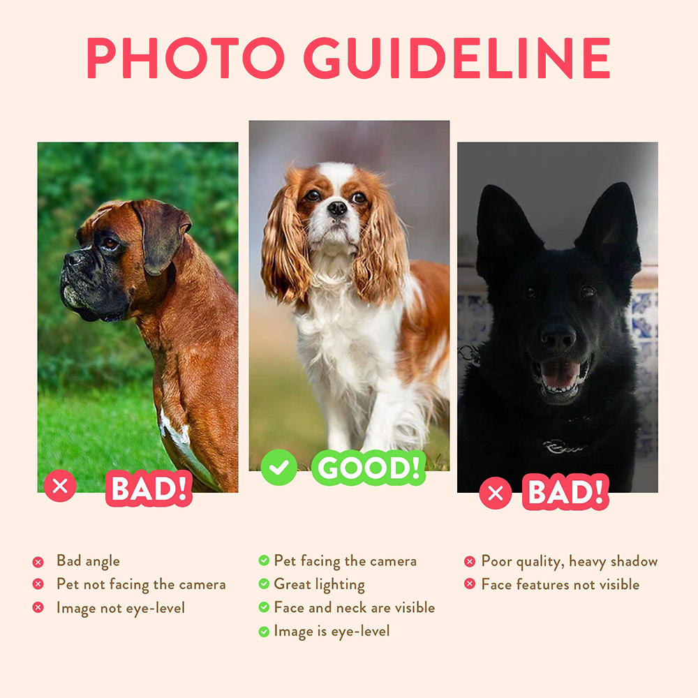 Personalized Pet Portraits Pho - Pet Portrait Custom บทวิจารณ์และราคา
