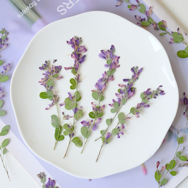 6pcs,nature Lespedeza Formosa  - Dried Flower Bookmark บทวิจารณ์และราคา