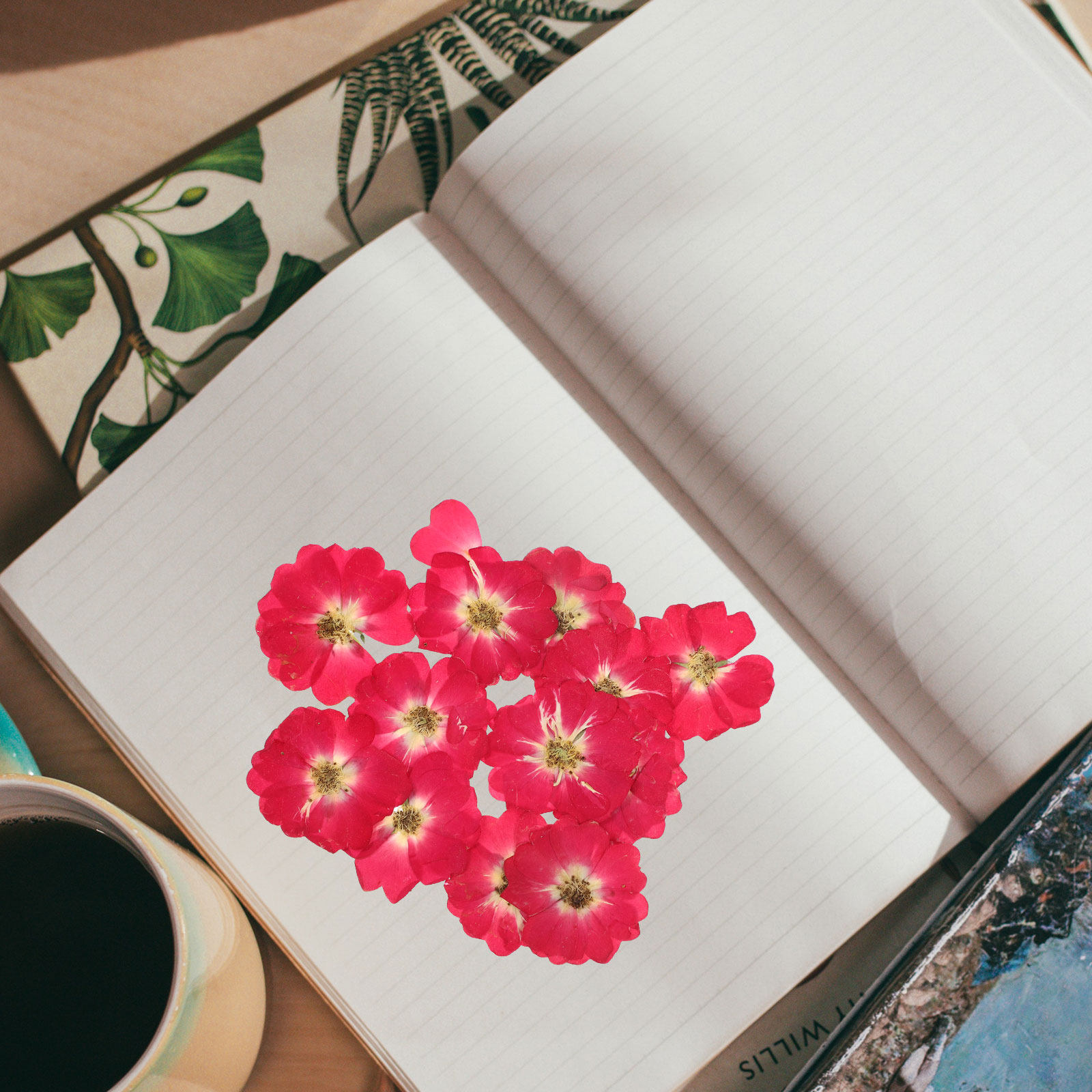 12Pcs Natural Dried Rose Press - Pressed Flower Art บทวิจารณ์และราคา