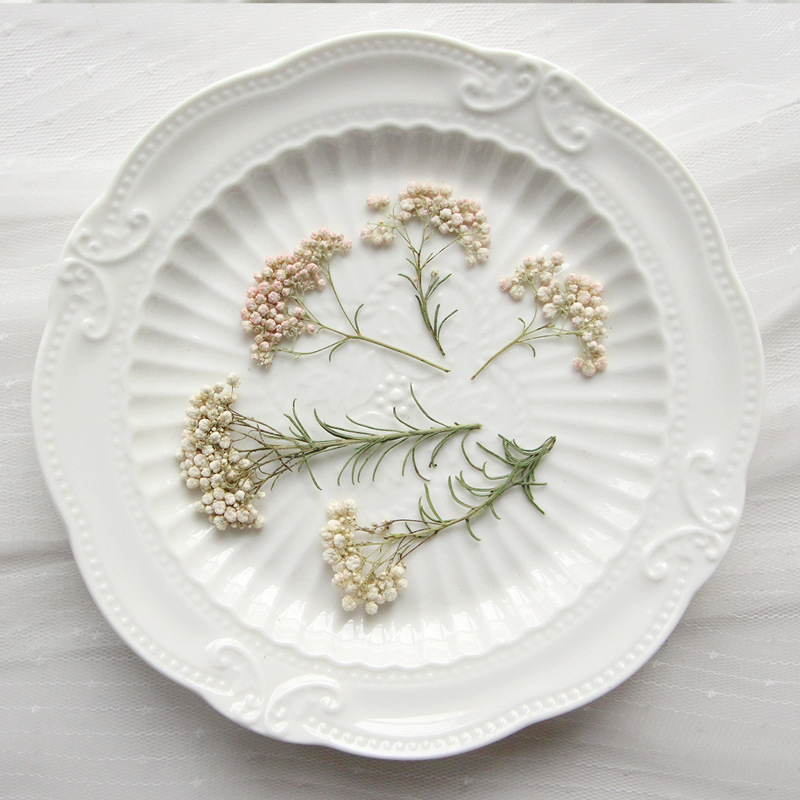 12pcs,Nature Millet flower bra - Dried Flower Bookmark บทวิจารณ์และราคา