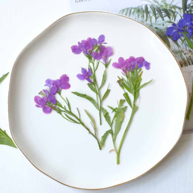 6pcs/8-13cm,nature Lobelia Eri - Dried Flower Bookmark บทวิจารณ์และราคา