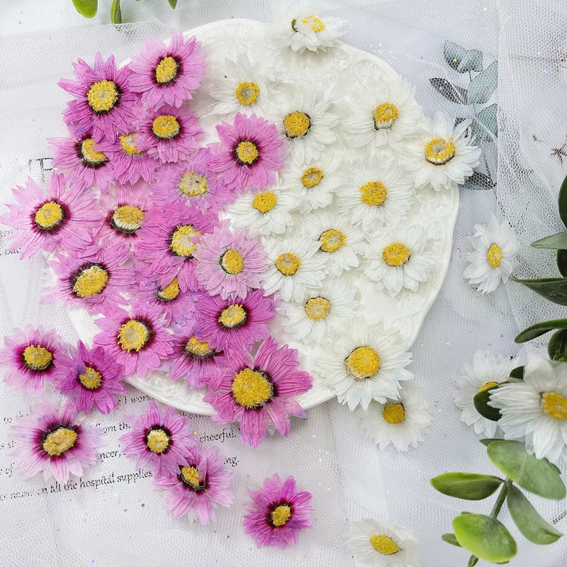 24pcs/2-4CM,Natural Pressed Fl - Dried Flower Bookmark บทวิจารณ์และราคา