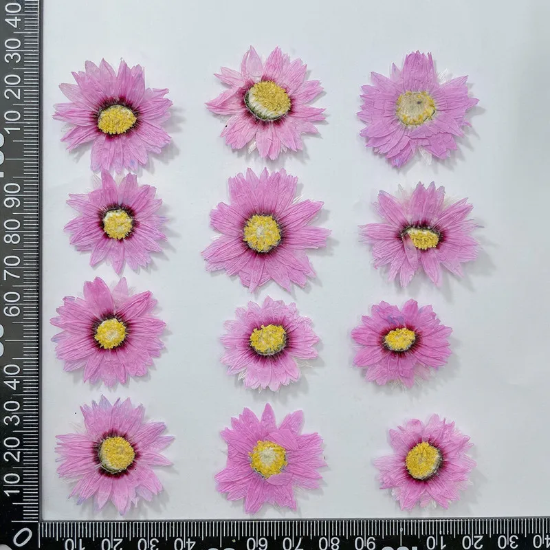 24pcs/2-4CM,Natural Pressed Fl - Dried Flower Bookmark บทวิจารณ์และราคา