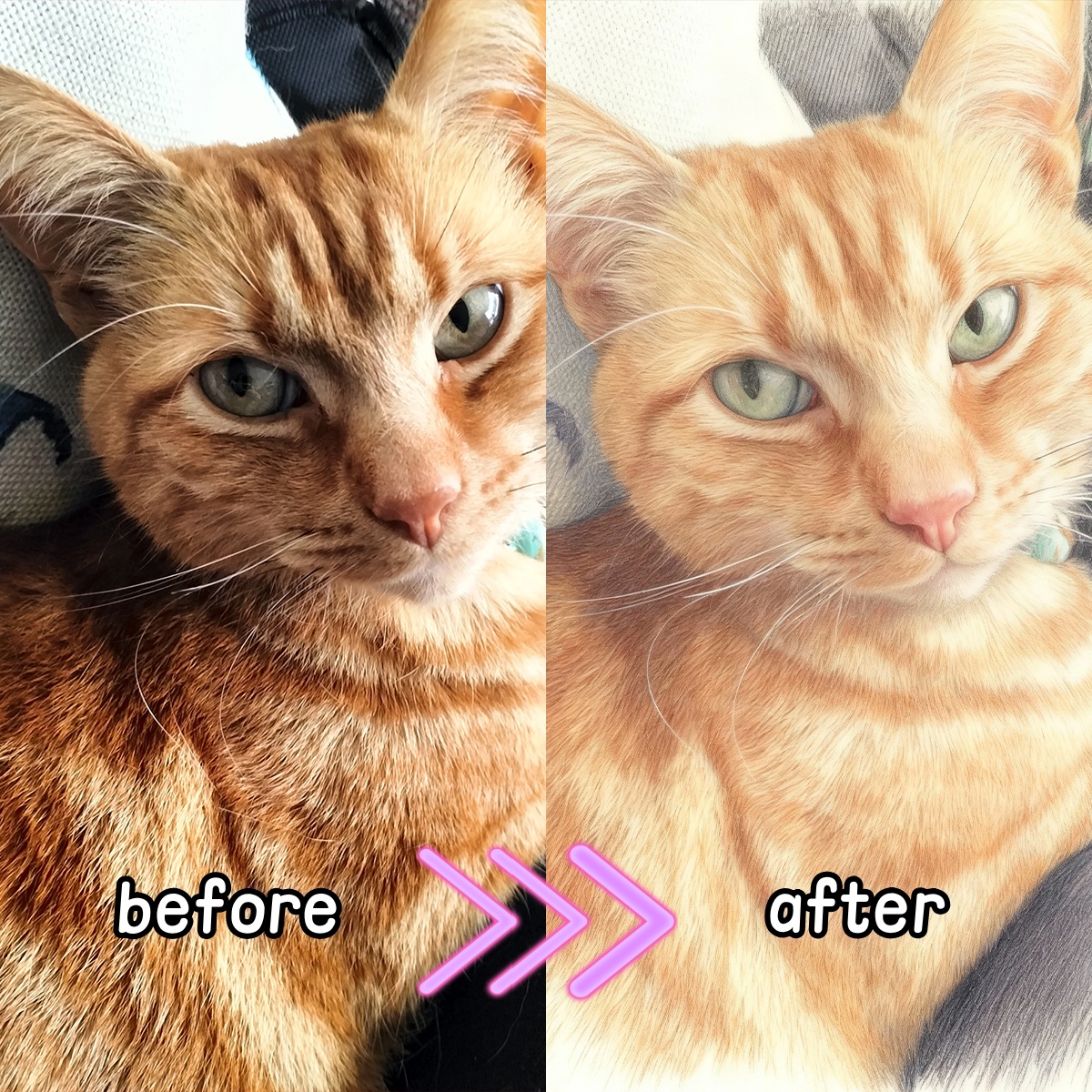 Personalized Custom Colored Pe - Pet Portrait Custom บทวิจารณ์และราคา