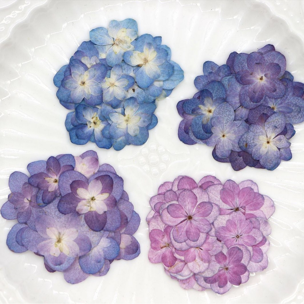 60Pcs Mini Double-Flowered Hyd - Dried Flower Bookmark บทวิจารณ์และราคา
