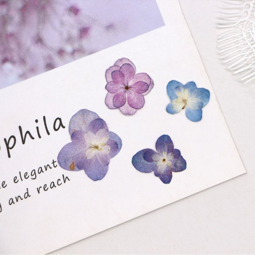 60Pcs Mini Double-Flowered Hyd - Dried Flower Bookmark บทวิจารณ์และราคา