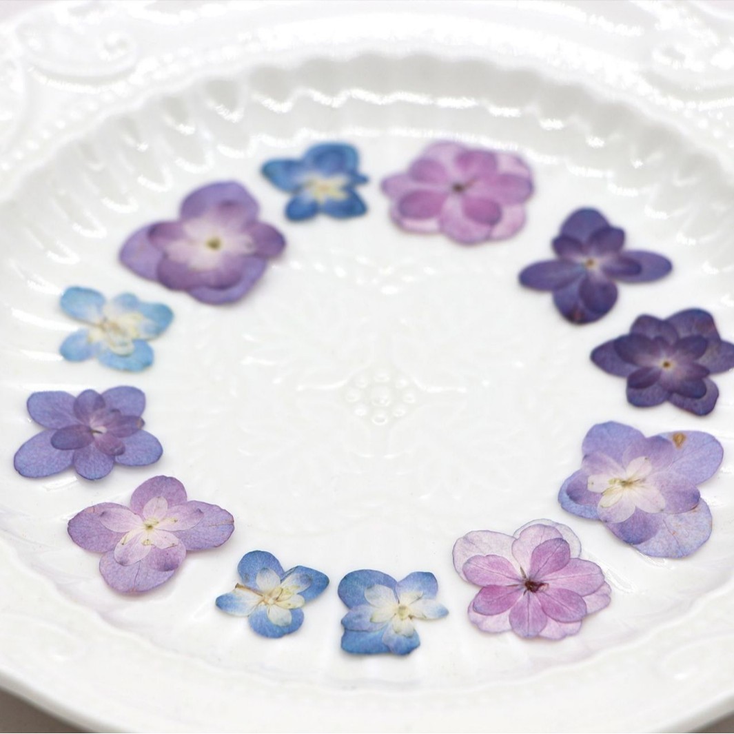 60Pcs Mini Double-Flowered Hyd - Dried Flower Bookmark บทวิจารณ์และราคา