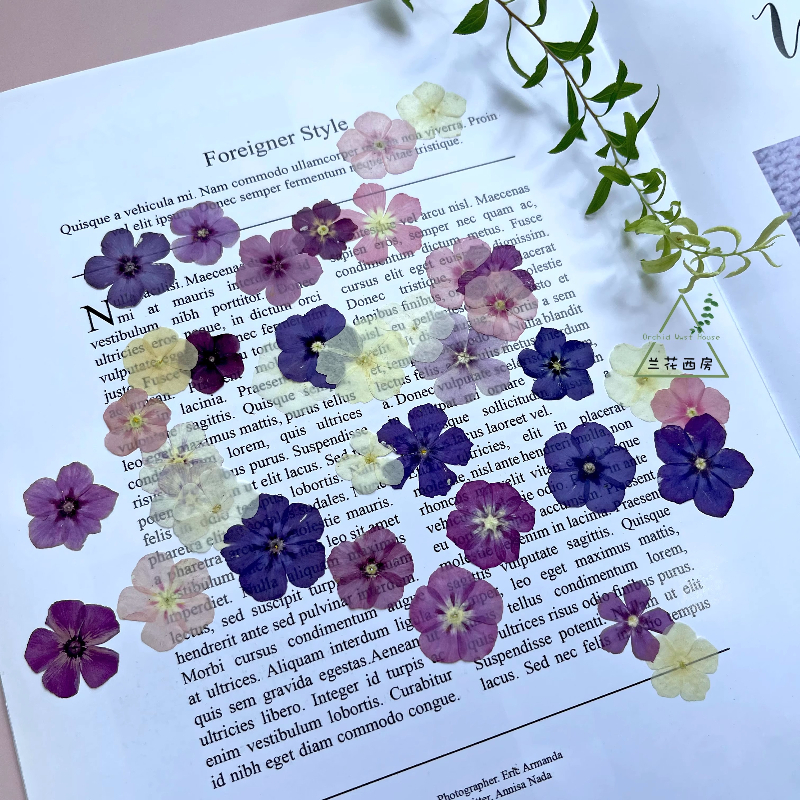 12pcs,Semi-Transparent Niche P - Dried Flower Bookmark บทวิจารณ์และราคา