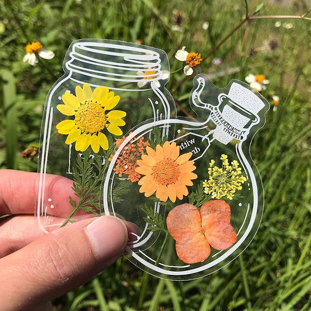 30Pcs Transparent Dried Flower - Dried Flower Bookmark บทวิจารณ์และราคา