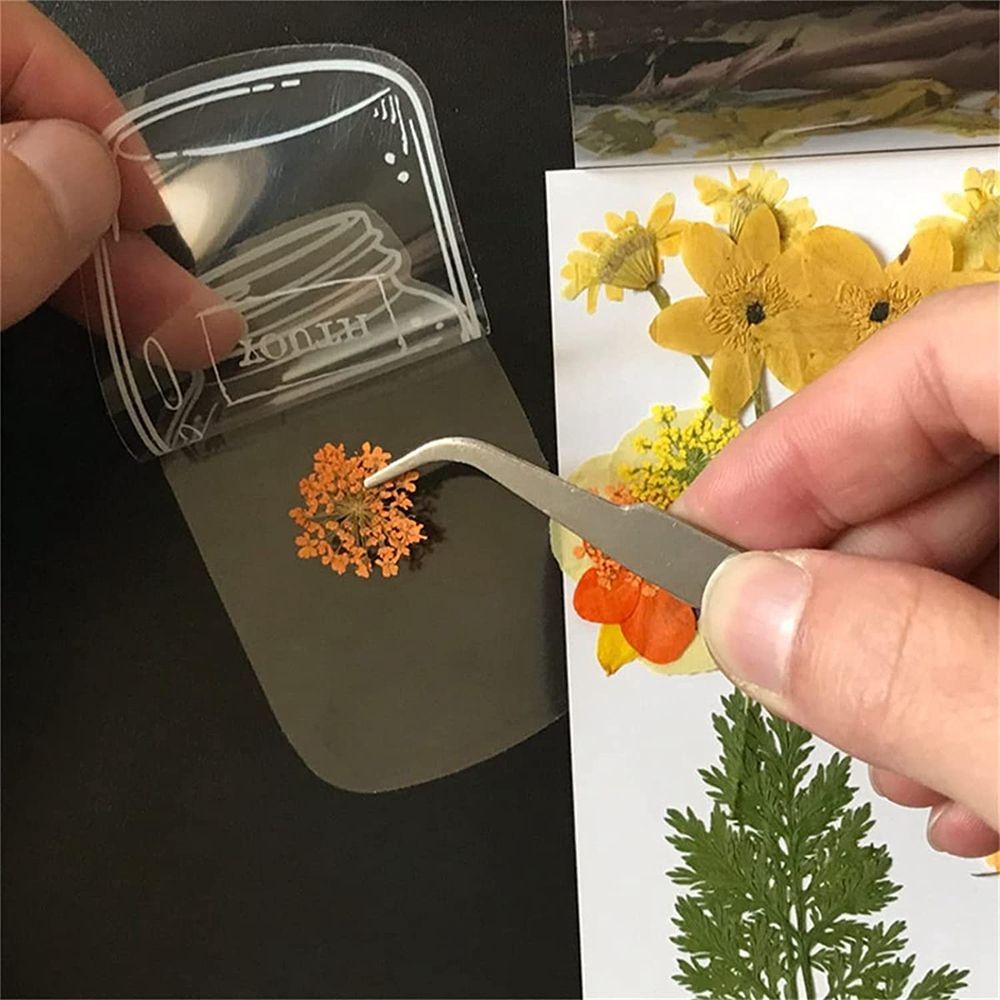 30Pcs Transparent Dried Flower - Dried Flower Bookmark บทวิจารณ์และราคา